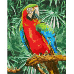 Maľovanie podľa čísel – Papagáj